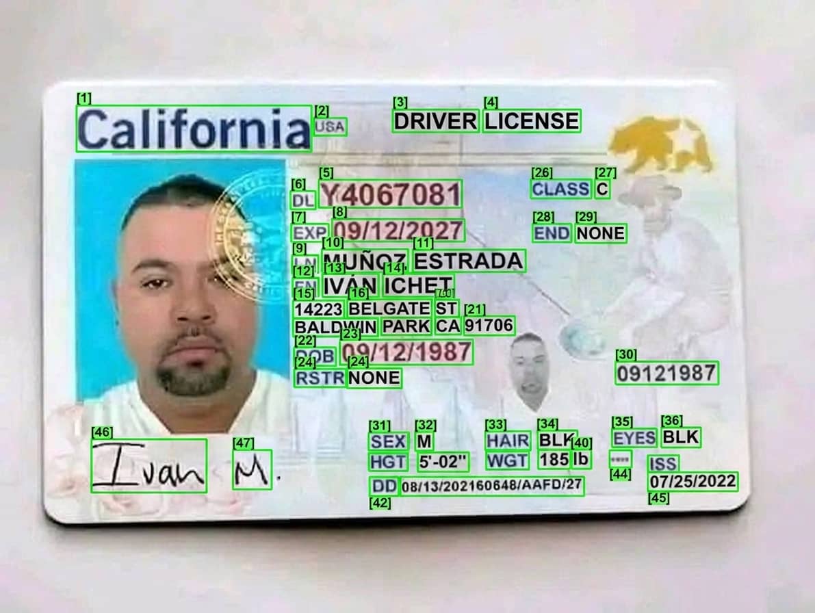 Pure CNN OCR: pixel-tight bounding boxes around every token on a driver license